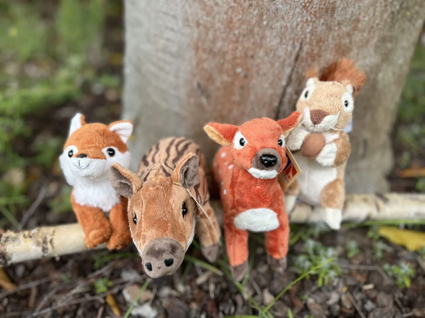 Beitragsbild 100 Jahre Jugendamt